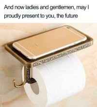 Купил новый телефон - меняй и полочку для туалетной бумаги. Чтобы по размеру и в цвет.