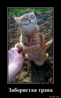 Монстры из космоса: великолепные обложки немецкого Sci-fi журнала Terra