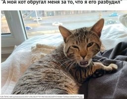 Тут по губам понять можно.Пошёл на х.у.й видно отчётливо.