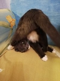 Мой тоже ломался.