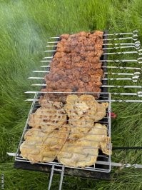 Необычный мангал с электроприводом