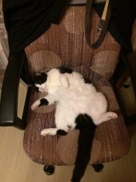 Иди туда, на табуретку.