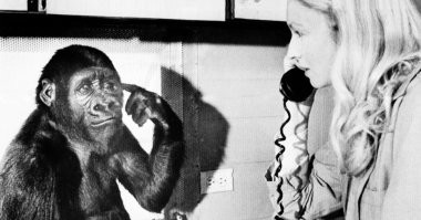 Парень стал звездой соцсетей, высмеивая бесполезные советы блогеров