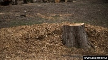 ну с праздником!!!!