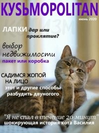 Умора: котейки, которые внезапно сломались 