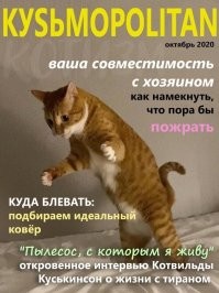 Умора: котейки, которые внезапно сломались 