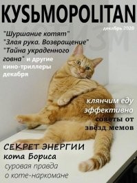 Умора: котейки, которые внезапно сломались 