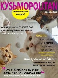 Умора: котейки, которые внезапно сломались 