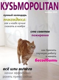 Умора: котейки, которые внезапно сломались 