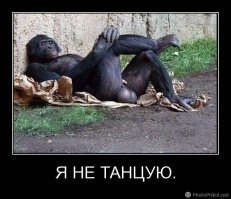 Весёлые истории о нас . 29.05.21