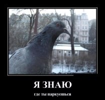 5 причин, по которым нужно срочно бросать щелкать семечки