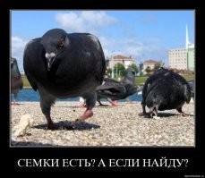 5 причин, по которым нужно срочно бросать щелкать семечки