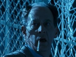 Еще одно доказательство того, что коты —  жидкость