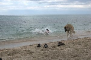 Вот так пугали)