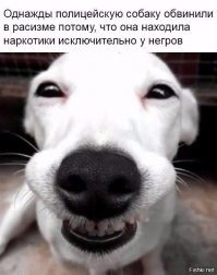 Испанскую почту обвинили в пропаганде расизма