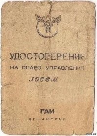 Недалекое прошлое