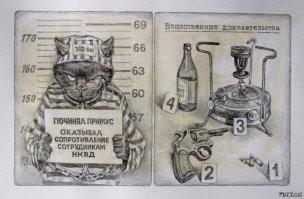 Смешные комментарии из соц.сетей