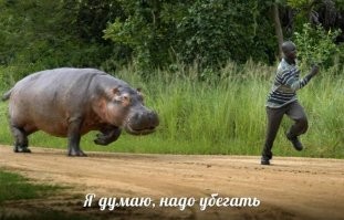 Вот одна из причин