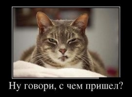 Прикольные картинки на выходные