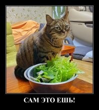 Прикольные картинки на выходные