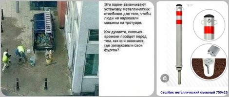 Смешные и познавательные картинки