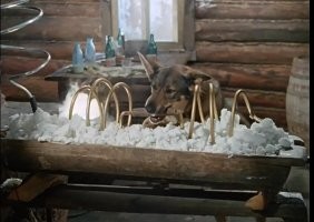 "Сейчас погоняем..."