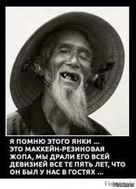 Вьетнамская война глазами победителей