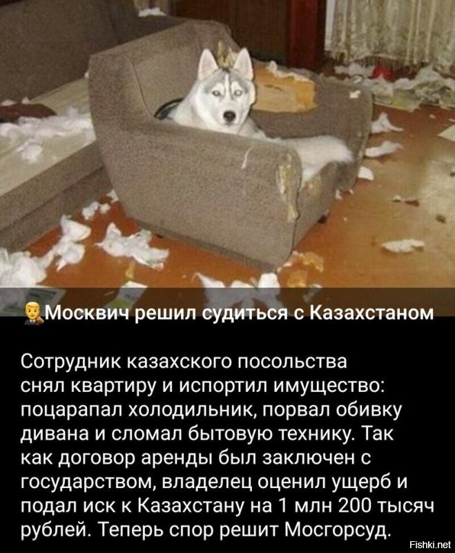 Располагаемся поудобнее и читаем утренние новости с сатирой и с сарказмом