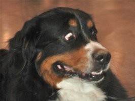 Трейлер фильма "Тихое место 2"