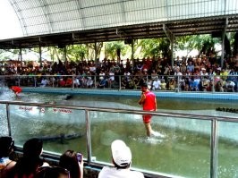 последний раз был там в 2017 году..
действительно, Паттайск и не узнать..