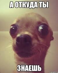 Где кроются истоки кинофобии?