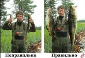 20 людей и вещей, истинные размеры которых познаются в сравнении