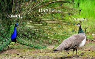 Позитив из нашей повседневности