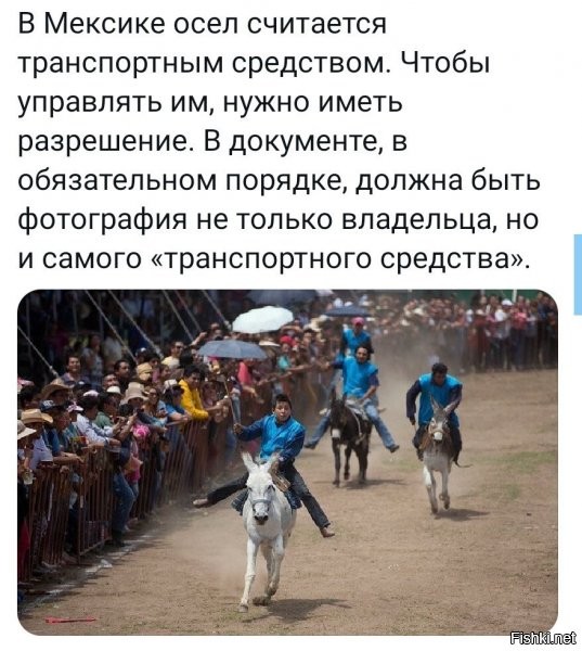 а кое где ишак это не транспортное средство, а ....ну вы поняли что...и поняли где. да? =)