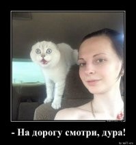 Тонко намекнул девушке на её не самые лучшие навыки вождения