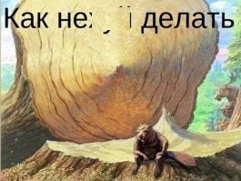 Фотоподборка