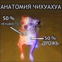 Где кроются истоки кинофобии?