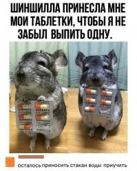 По ходу таблетки вы приняли до этого))))