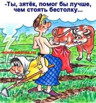 Весёлые истории о нас
