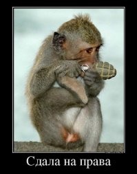 Весёлые истории о нас