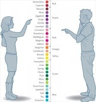 Цвета различать не проблема, проблема запомнить все эти бублегамы с магентами вместо розового )