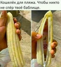 Смешные и познавательные картинки