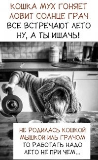 Смешные комментарии из соц.сетей