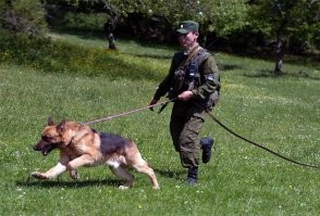 Отбить нюх поможет Кайенская смесь - порошок из перца и табака, известна всем читавшим про шпийонов.