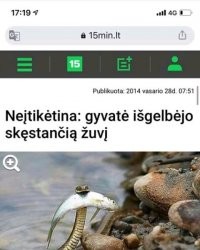 Весёлые истории о нас