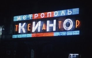 Кот бы оценил