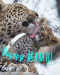 Всё вразнобой