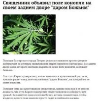 Джа разгневался: вулкан Суфриер уничтожил почти все посадки "особой травы"