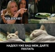 Прикольные мемы с котиком, которые зарядят позитивным настроем
