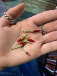 Это перец "Пири-Пири". Он крупнее и не вырастет